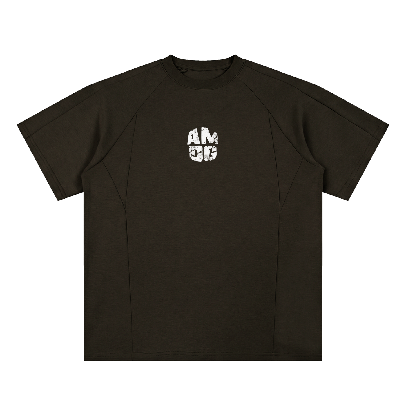 Unisex Oversized Paneled Raglan T-Shirt