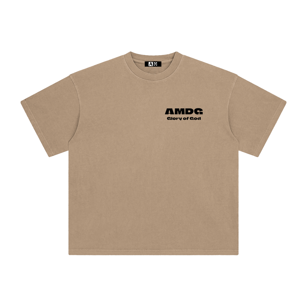 Enzyme Washed T-Shirt (clear colors)
