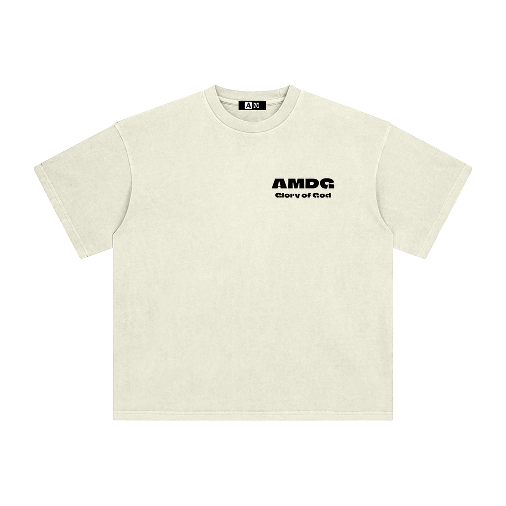 Enzyme Washed T-Shirt (clear colors)