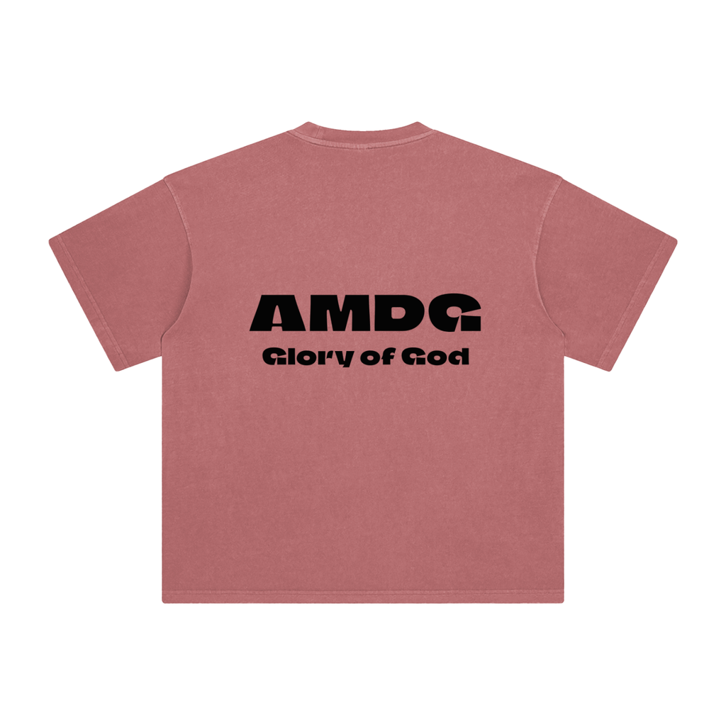 Enzyme Washed T-Shirt (clear colors)