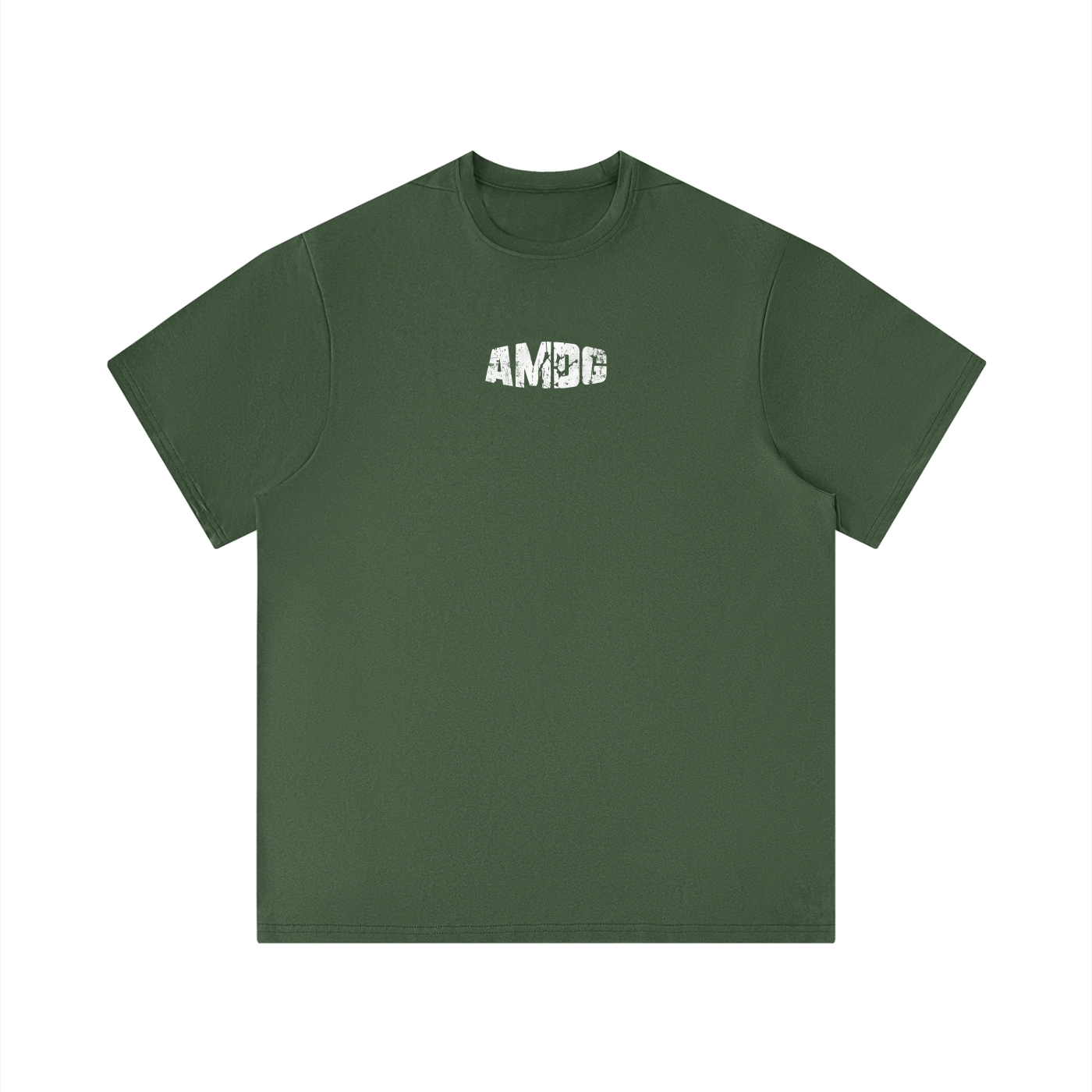 Men's Performance Regular Fit T-Shirt (for the gym)