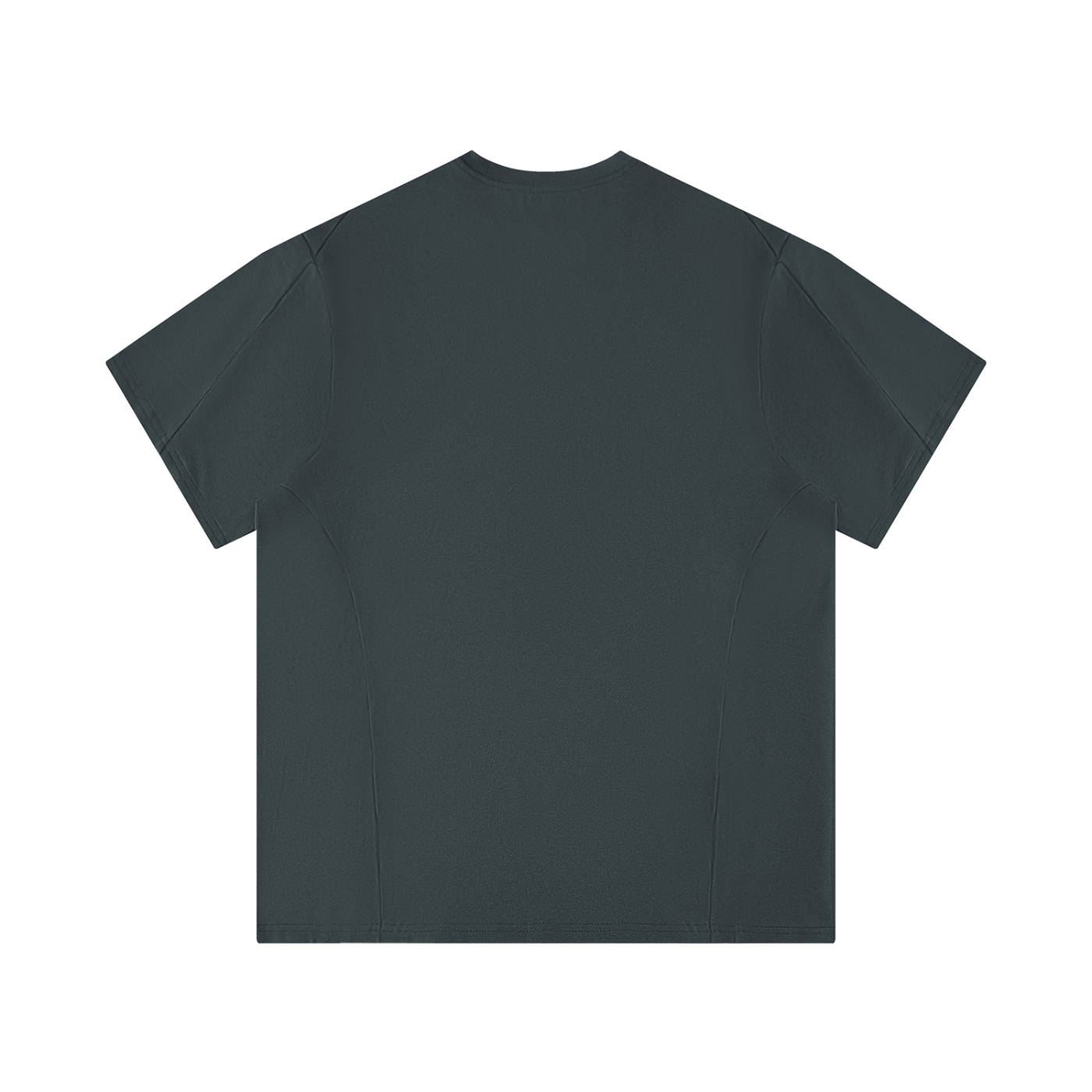 Men's Performance Regular Fit T-Shirt (for the gym)