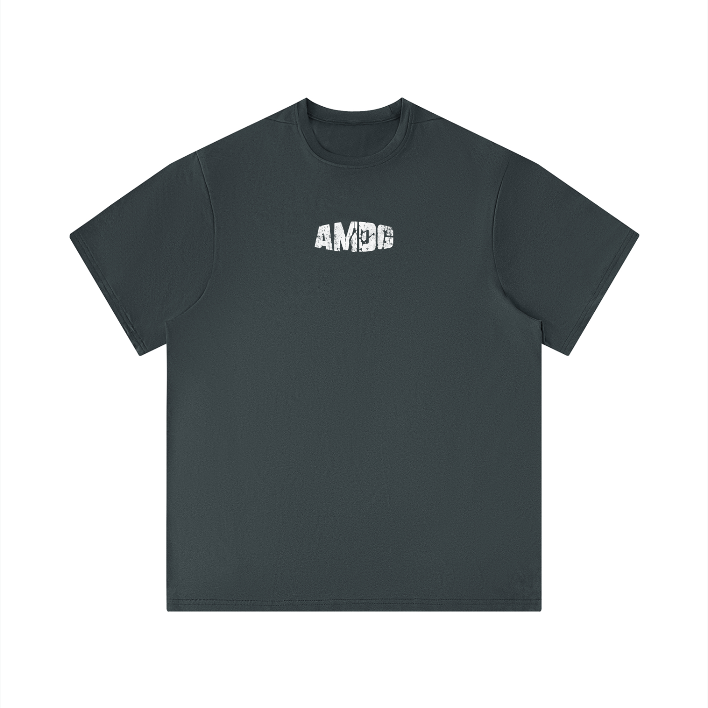 Men's Performance Regular Fit T-Shirt (for the gym)