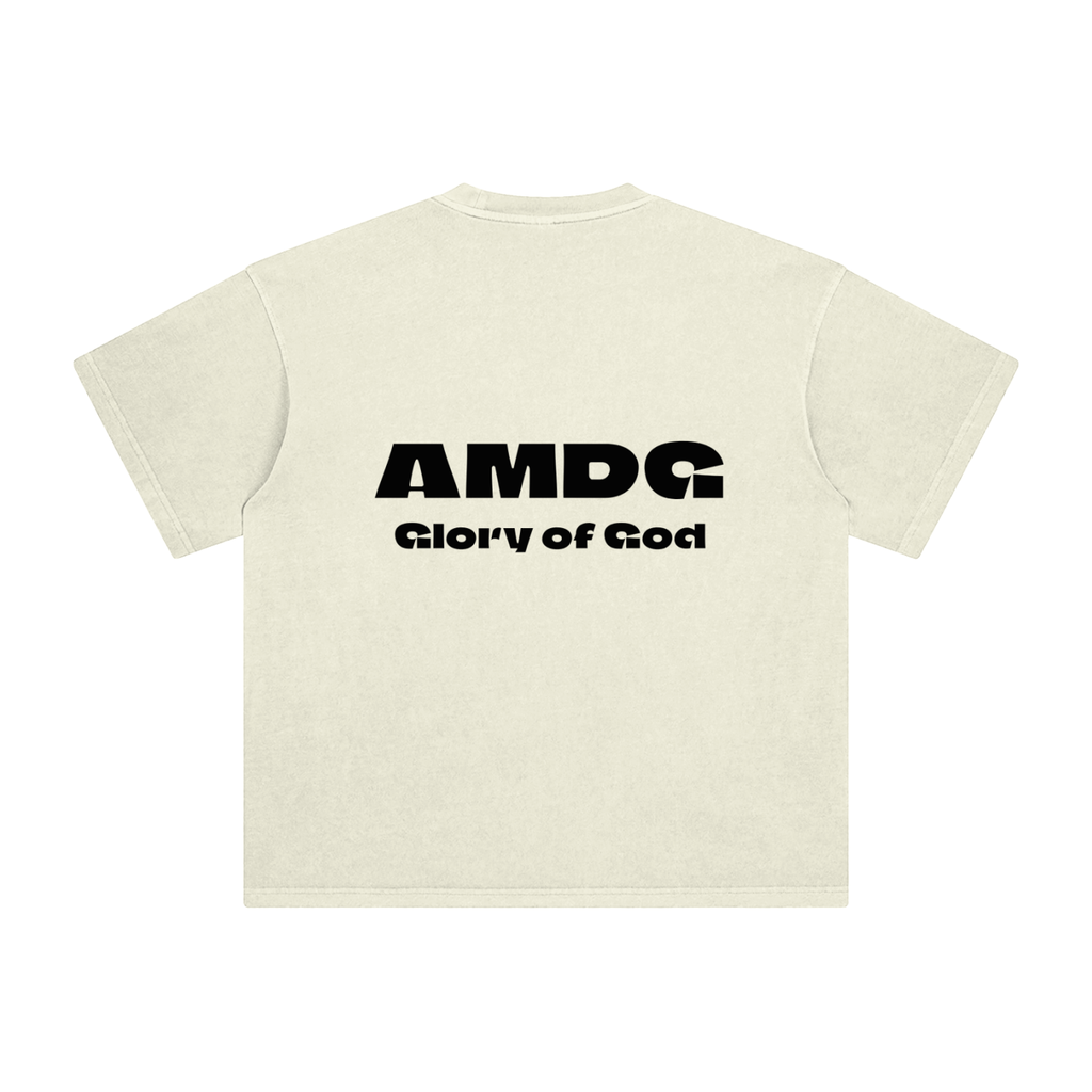Enzyme Washed T-Shirt (clear colors)